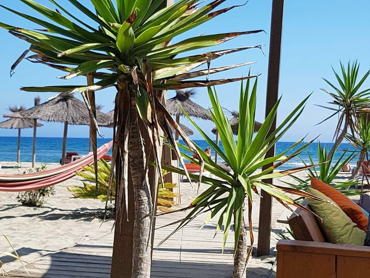 Beau studio à 1 minute de la plage Canet Exterior foto